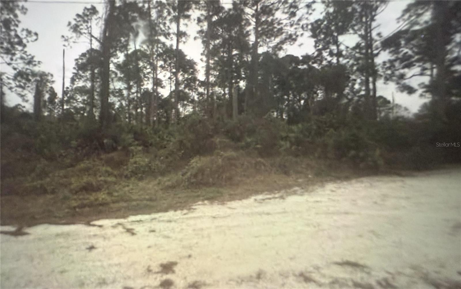 350 Tern Ave Property Photo 5