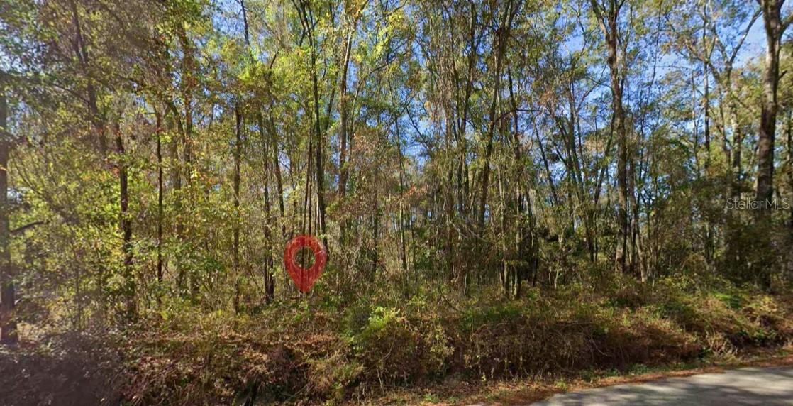 Iamonia Landing Rd Property Photo 1