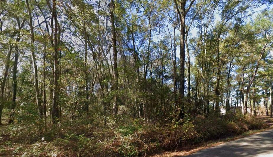 Iamonia Landing Rd Property Photo 2