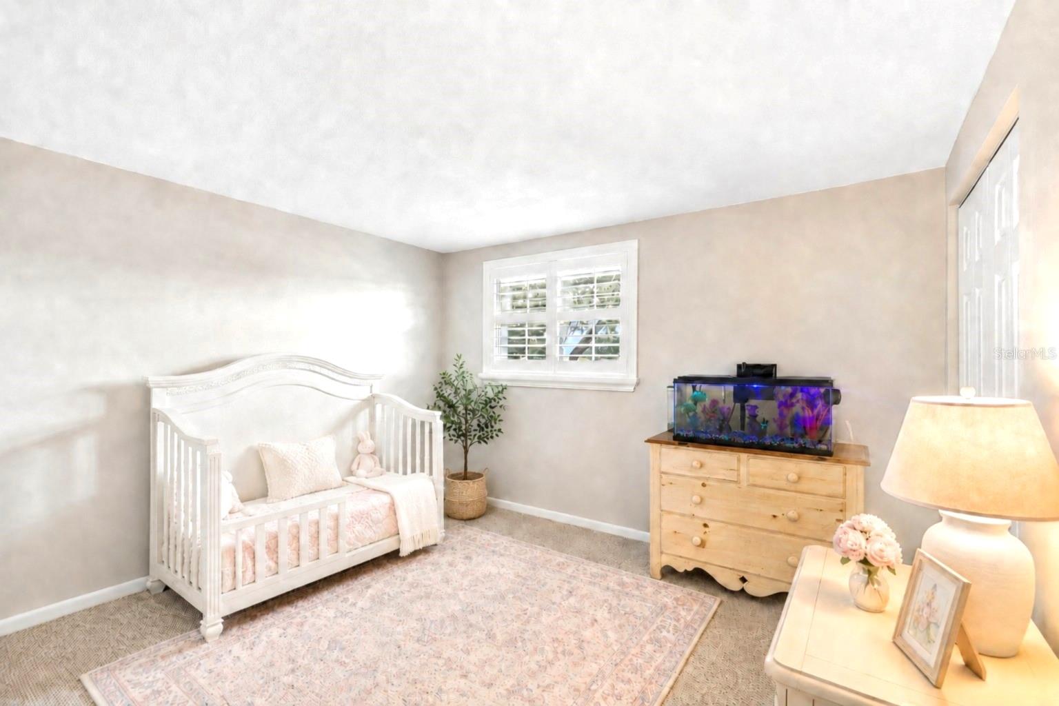 3133 W Idlewild Ave Property Photo 37