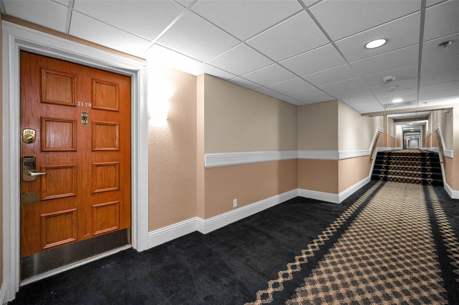 36750 Us Highway 19 N #20-209 Property Photo 5