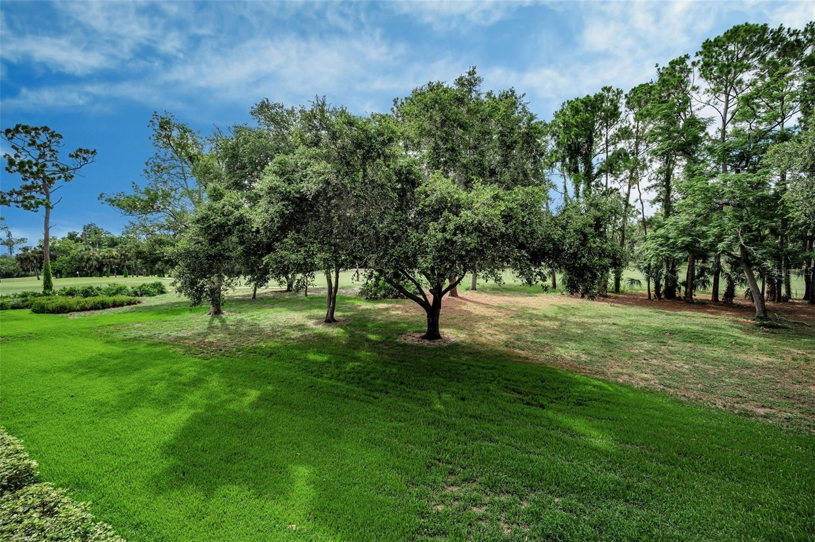 36750 Us Highway 19 N #20-209 Property Photo 23