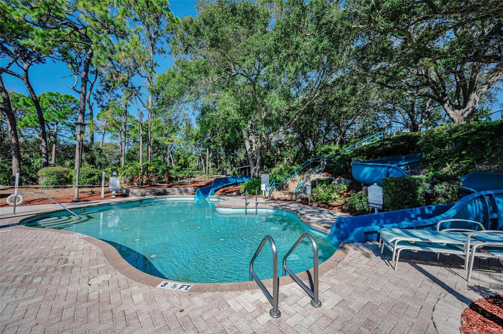 36750 Us Highway 19 N #20-209 Property Photo 30
