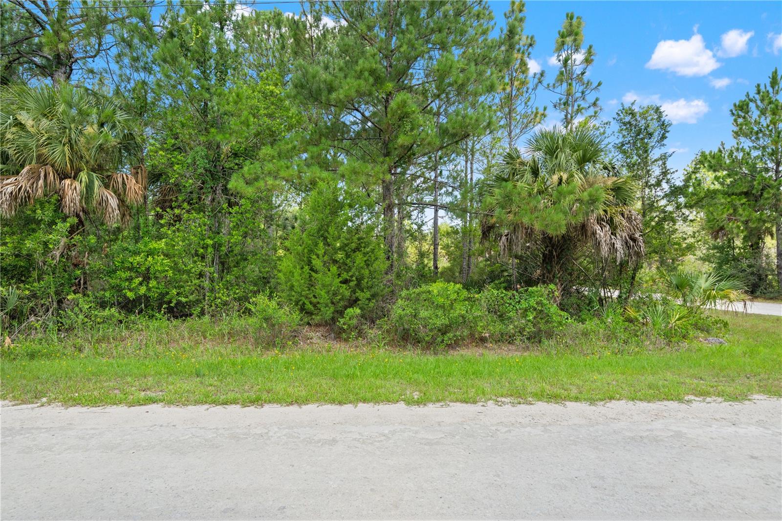 Ramsey Rd #16 Property Photo 2