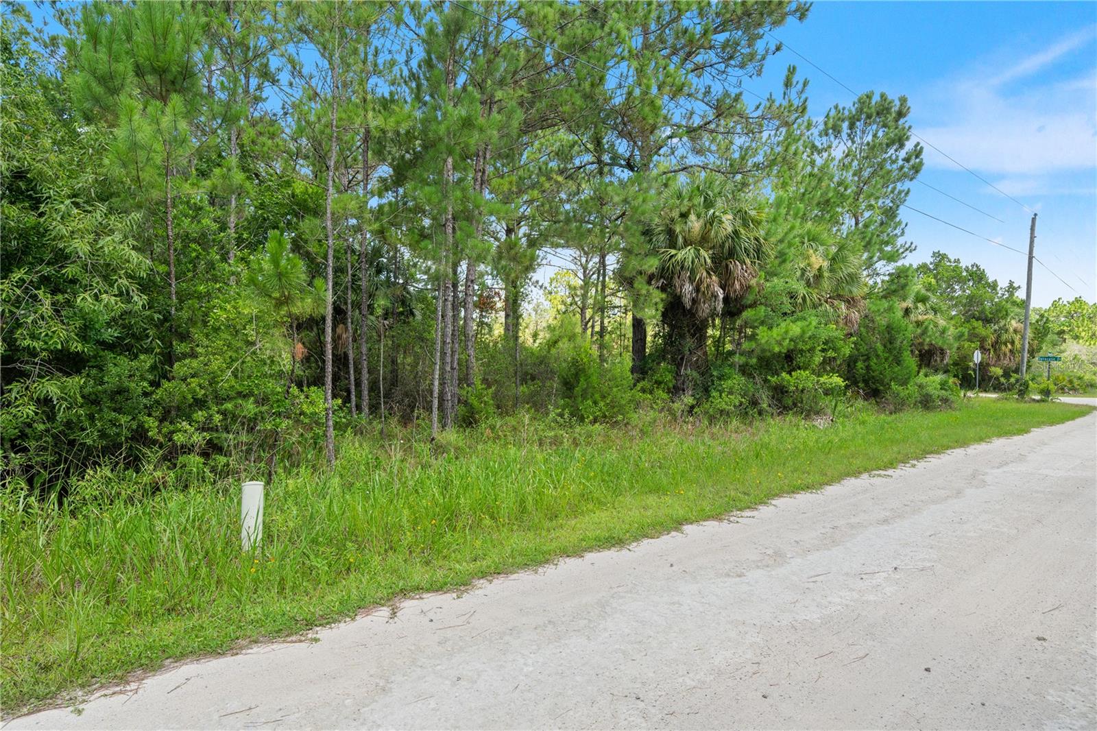 Ramsey Rd #16 Property Photo 3