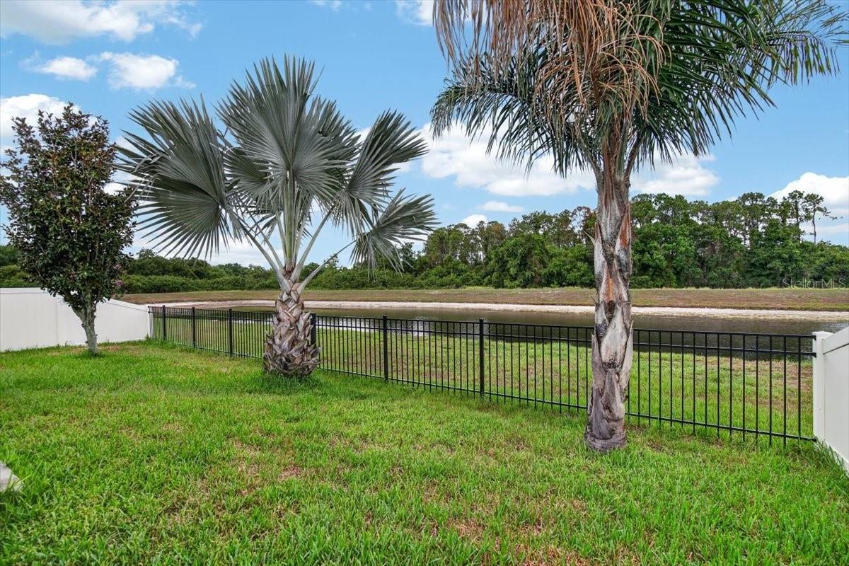 14415 Barley Field Dr Property Photo 46