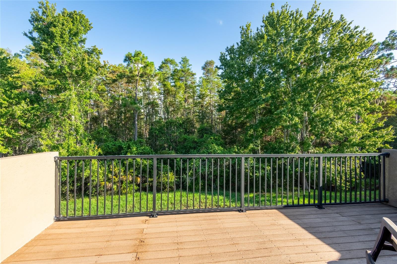 14815 Ninebark Ct Property Photo 64