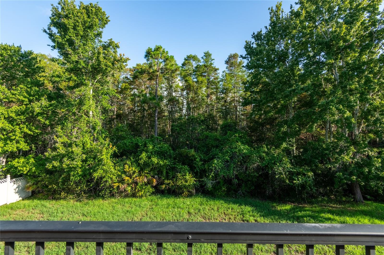 14815 Ninebark Ct Property Photo 66