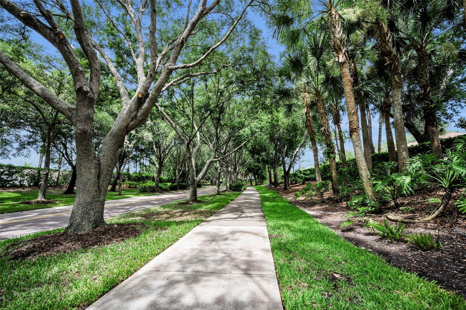 4084 Ligustrum Dr Property Photo 83