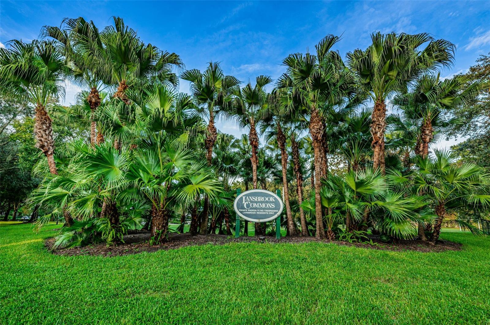 4084 Ligustrum Dr Property Photo 85