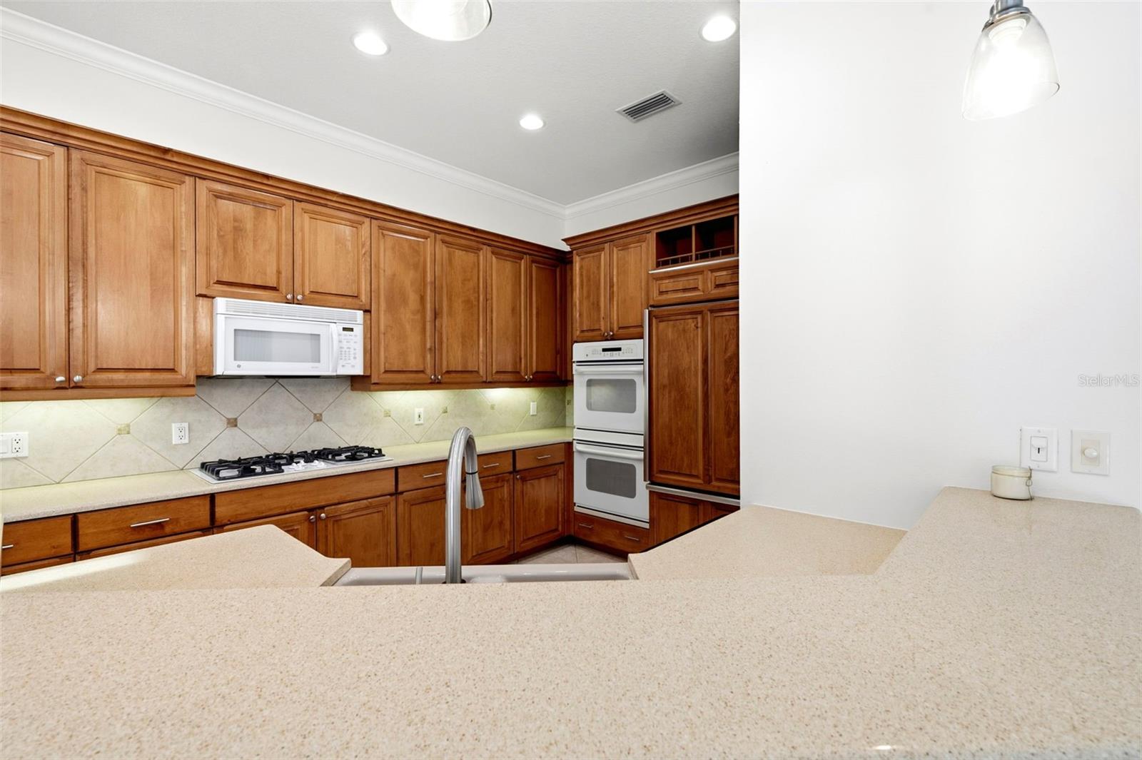 13860 Siena Loop Property Photo 25