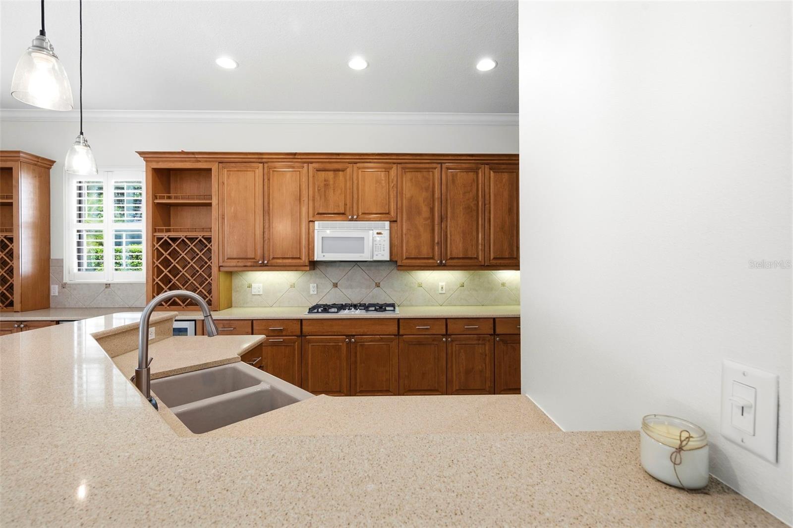 13860 Siena Loop Property Photo 27
