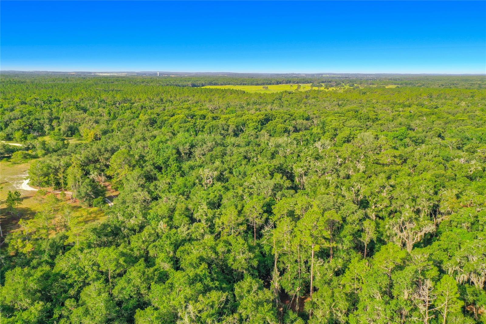 33099 Coral Rock Dr Property Photo 2