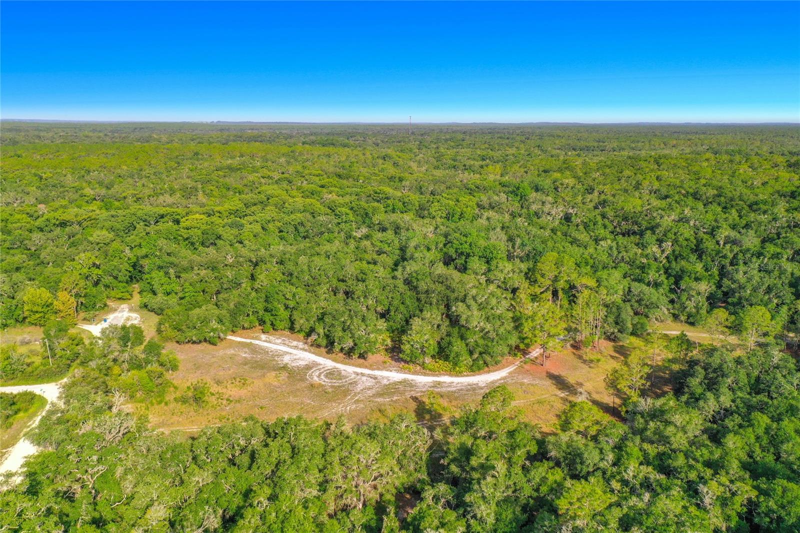33099 Coral Rock Dr Property Photo 10