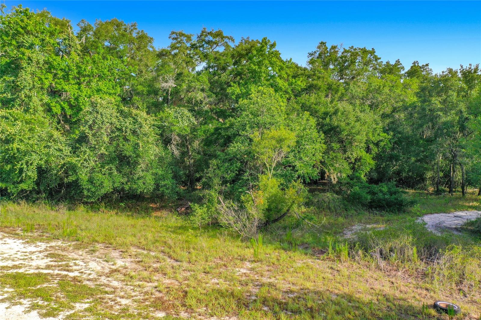33099 Coral Rock Dr Property Photo 13