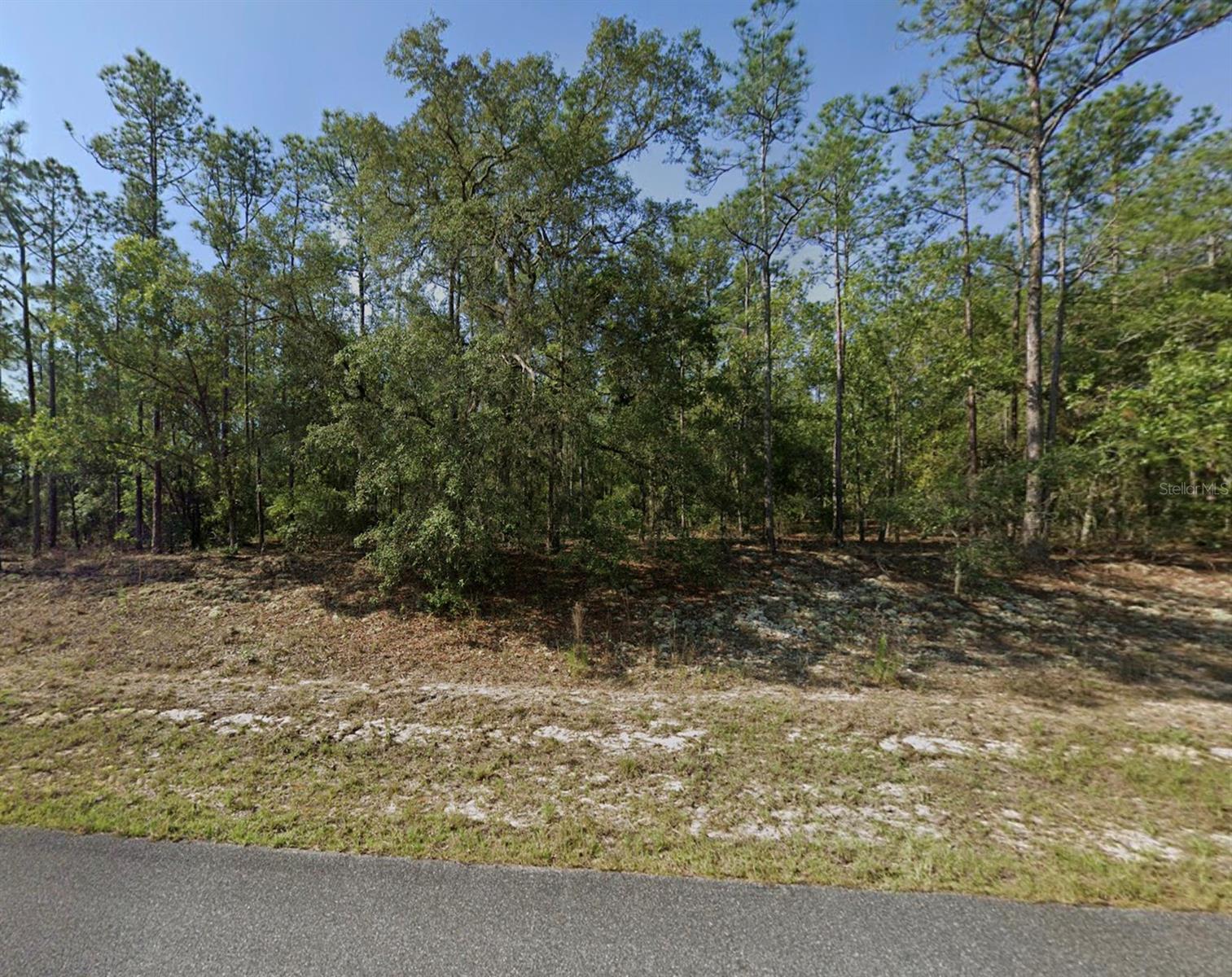 608 E Bimini Dr Property Photo 1