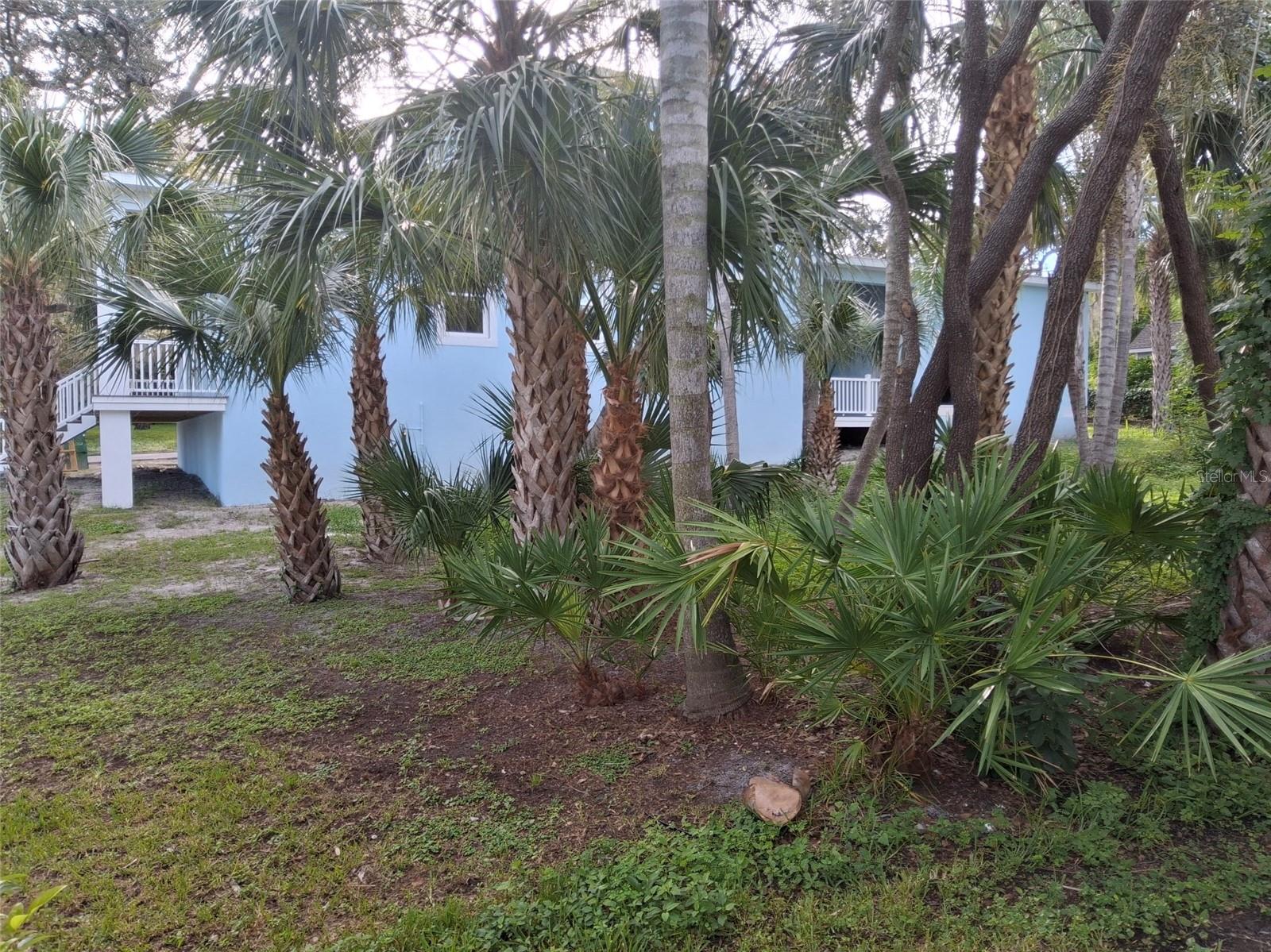 383 Georgia Ave Property Photo 61