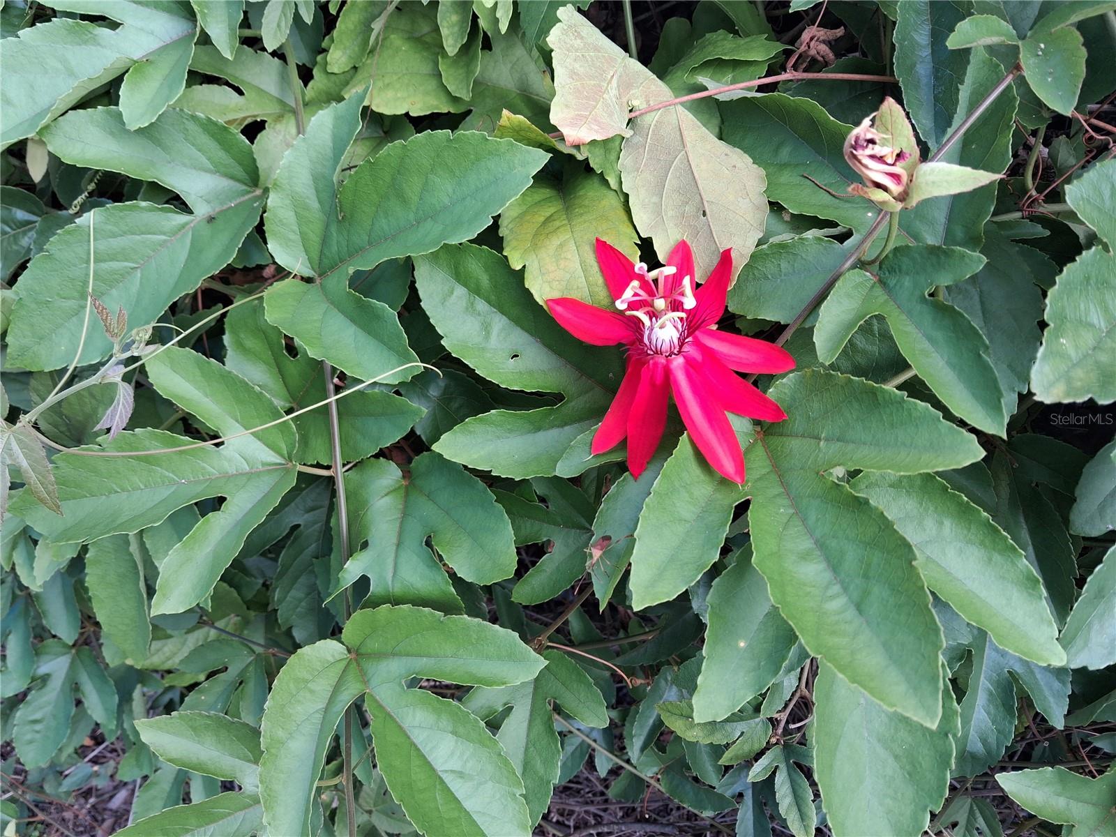 6934 Oldgate Cir Property Photo 9