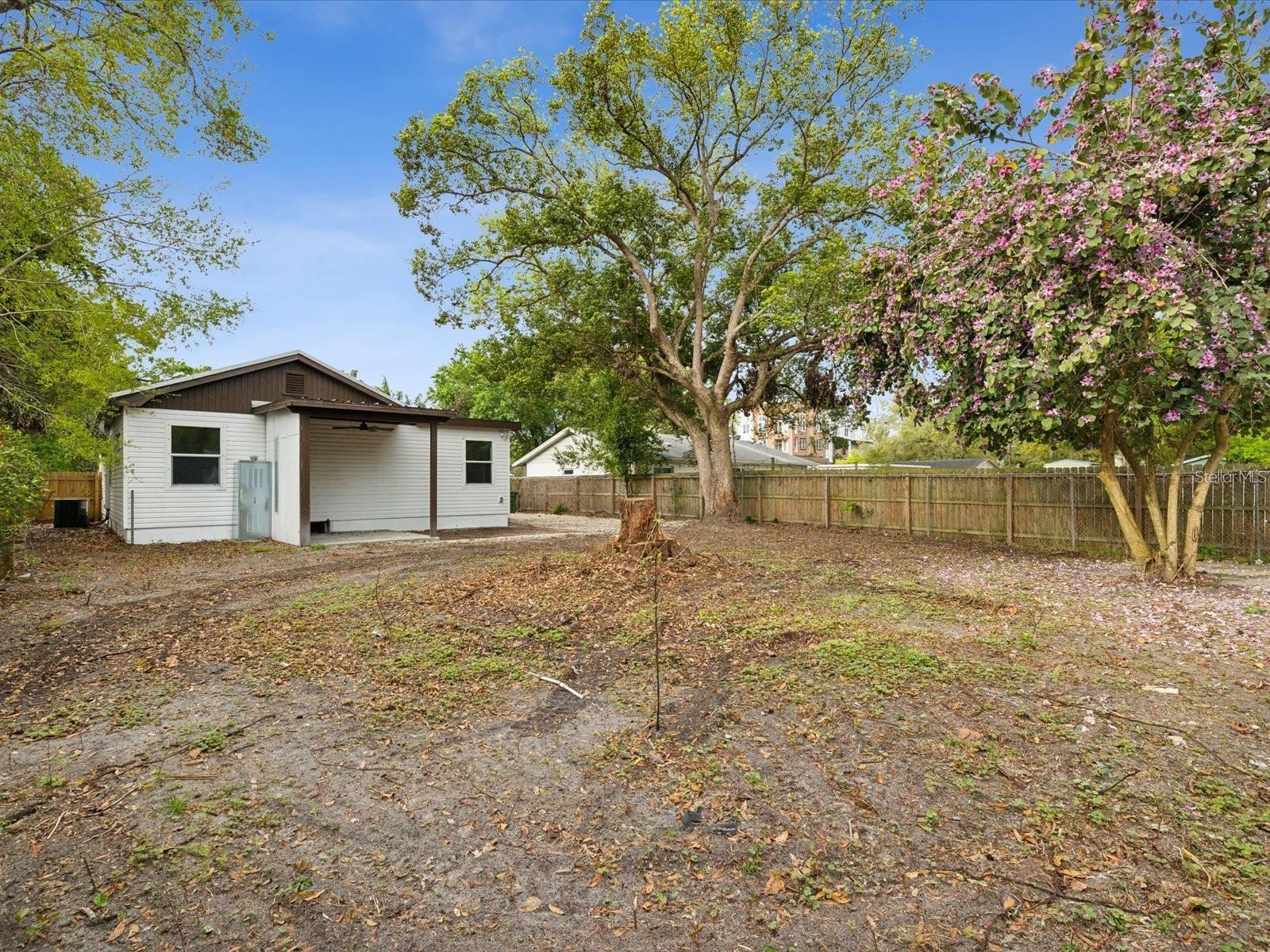 1008 E Norfolk St Property Photo 39
