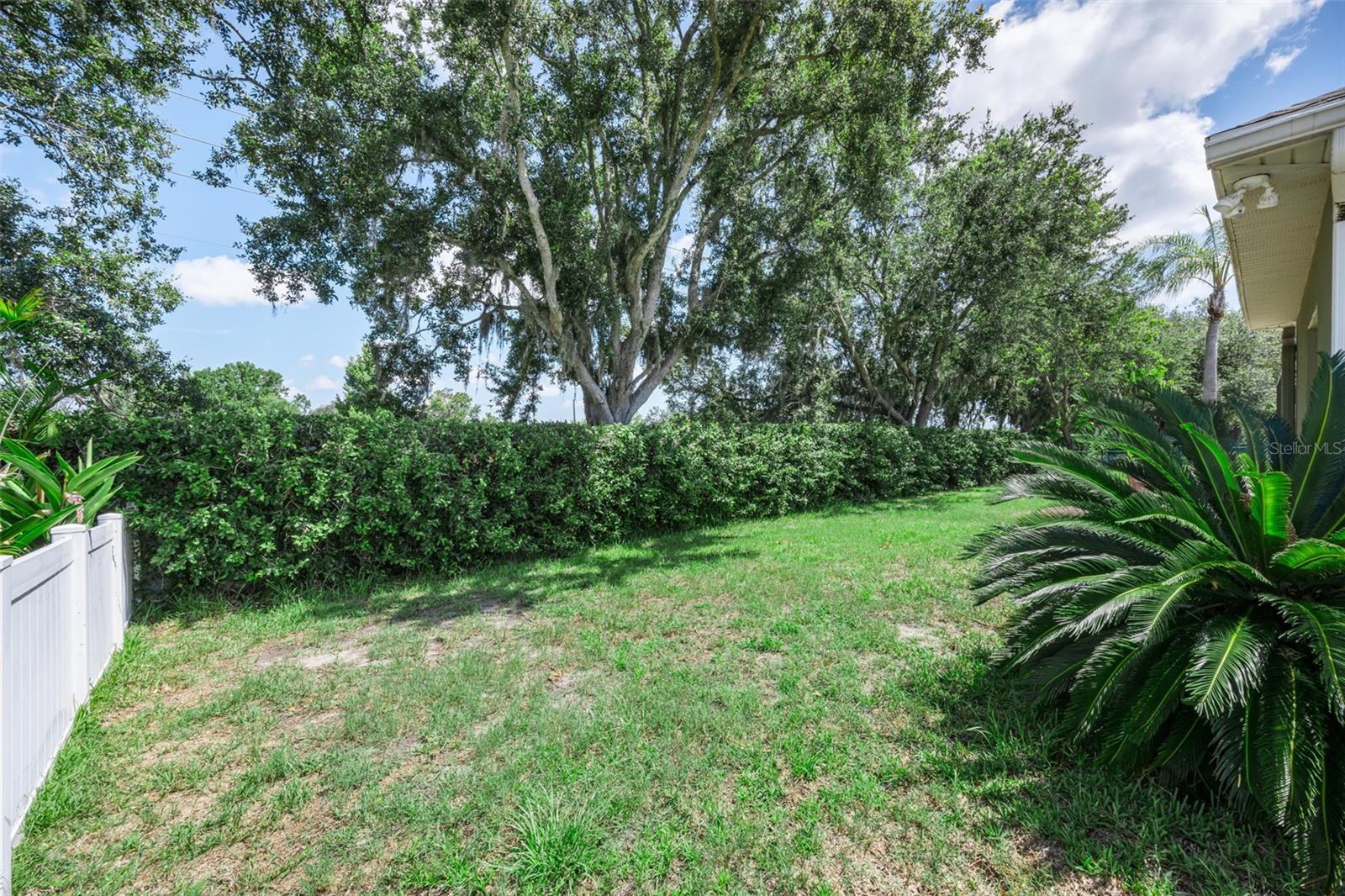 8843 Bel Meadow Way Property Photo 47