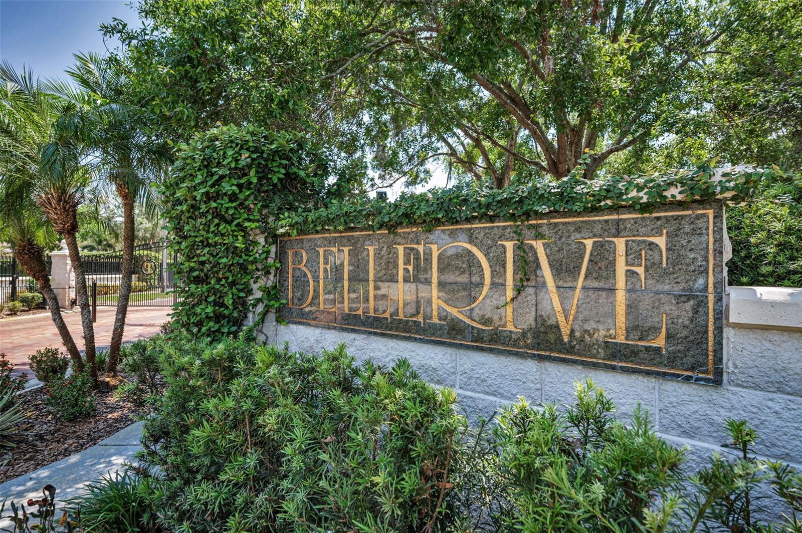8843 Bel Meadow Way Property Photo 51