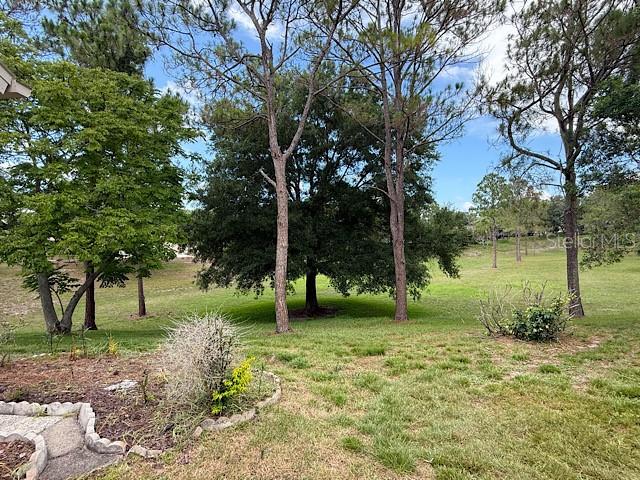 2232 Springmeadow Dr Property Photo 3