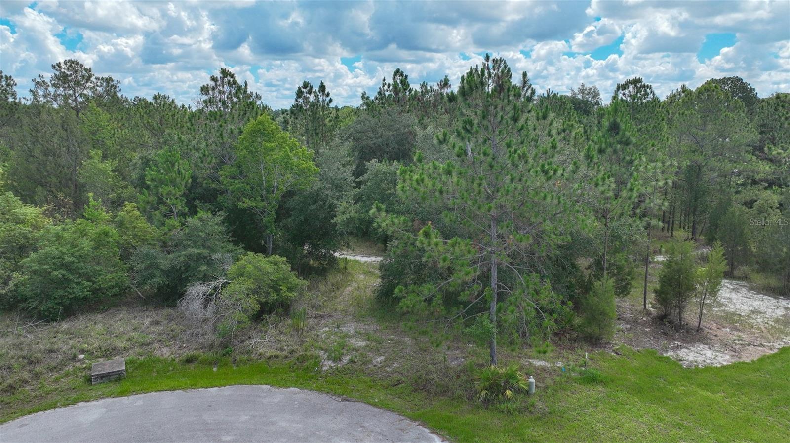 Valley Brook Ct Property Photo 6