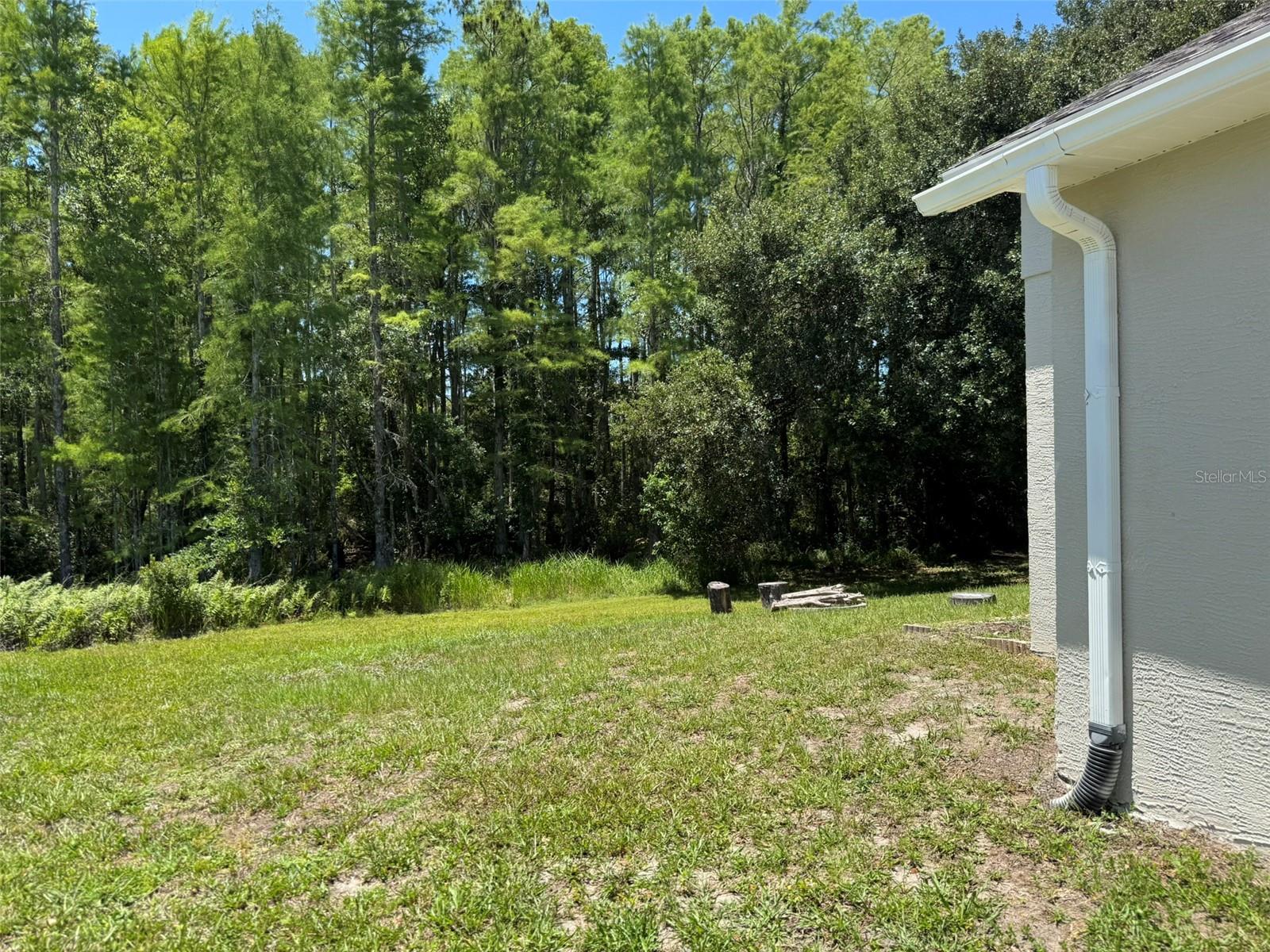 10104 Beefmaster Ct Property Photo 18