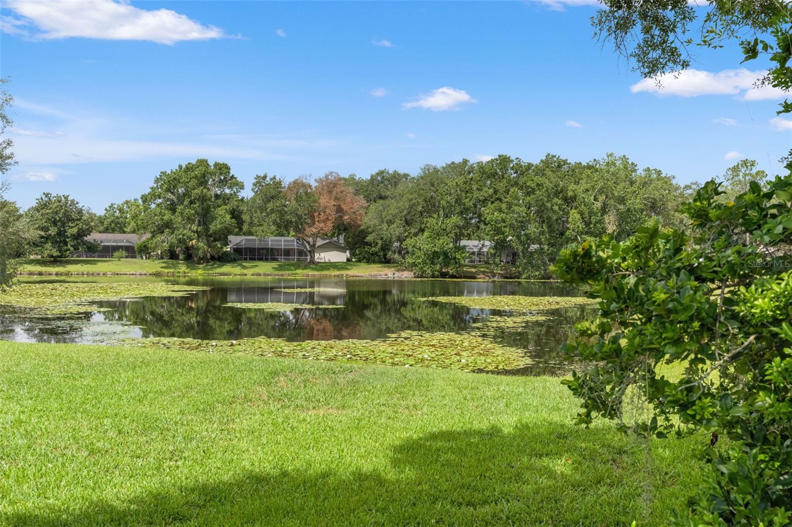 13916 Middle Park Dr Property Photo 32