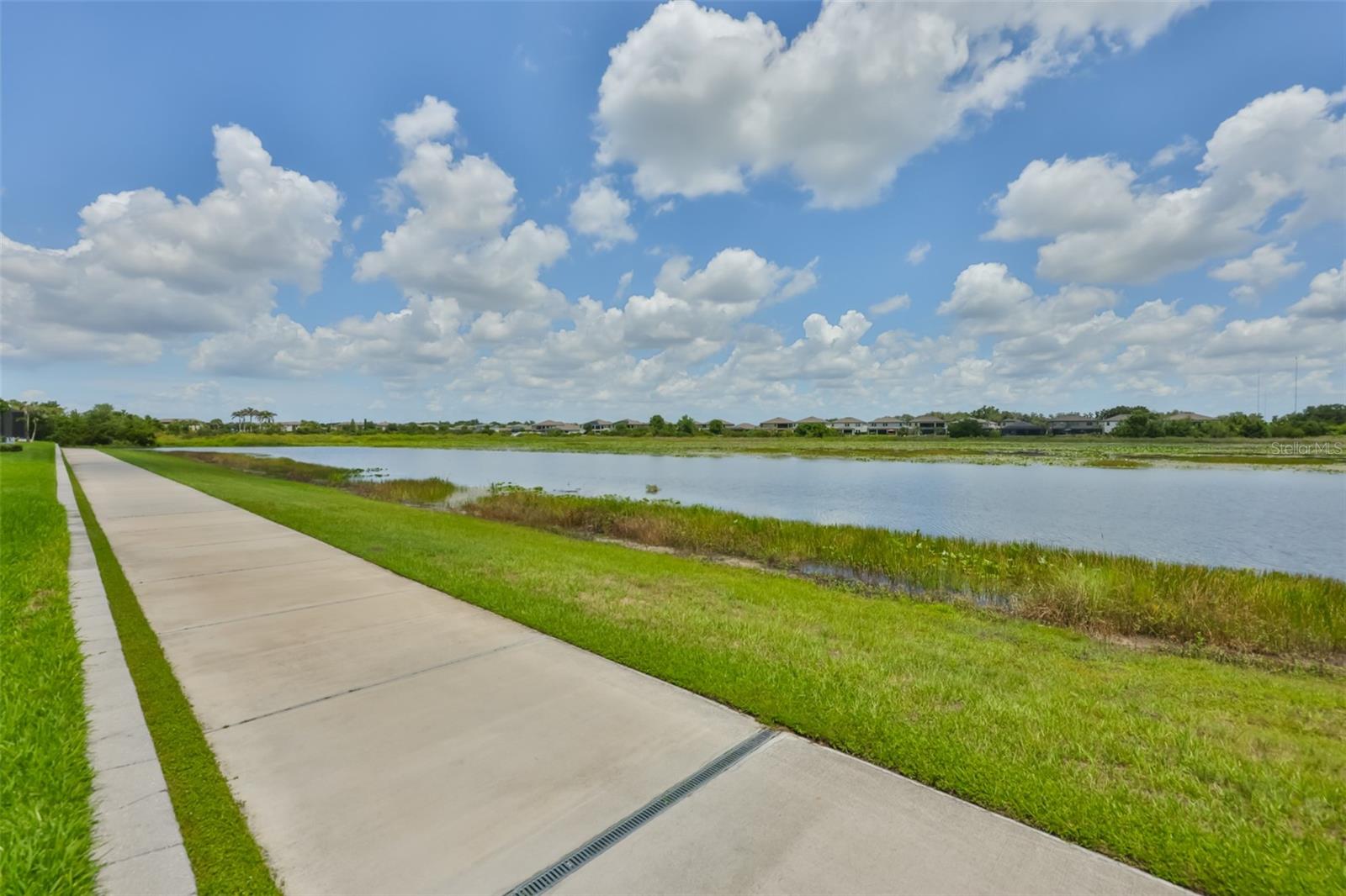 12835 Satin Lily Dr Property Photo 40
