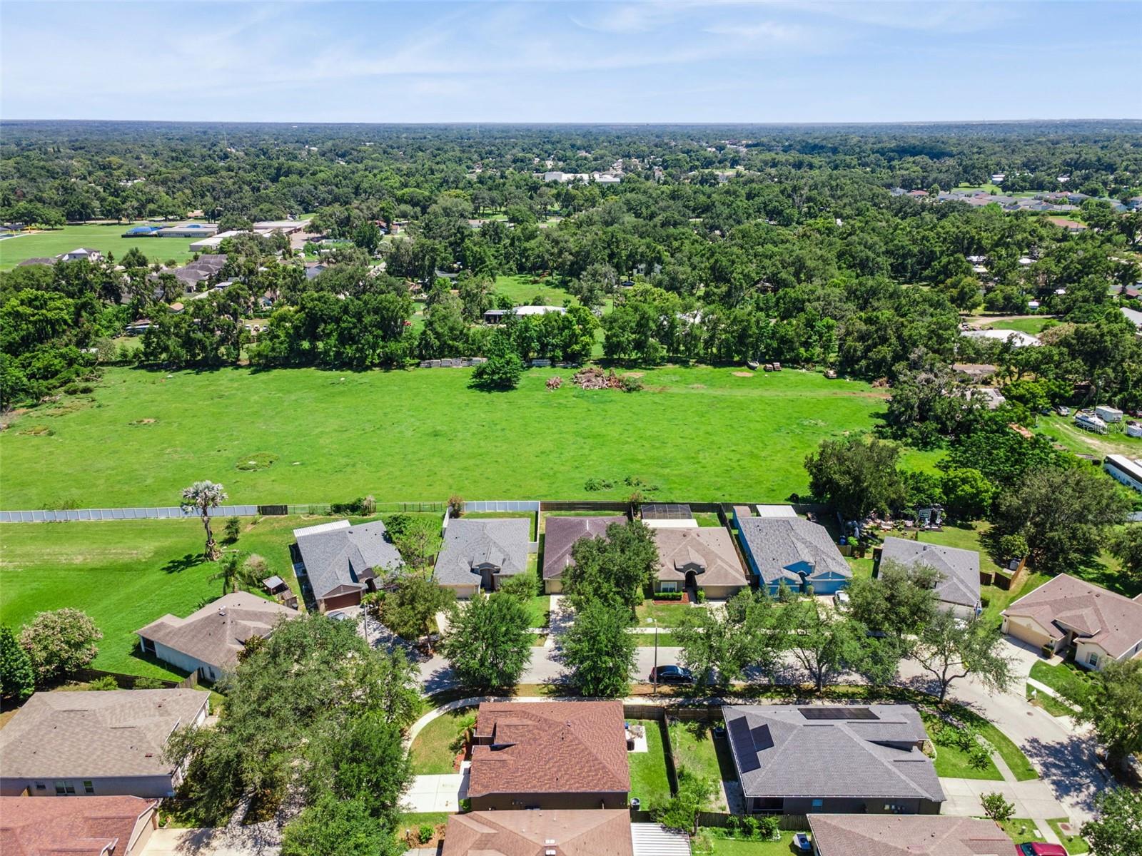 725 Star Pointe Dr Property Photo 34