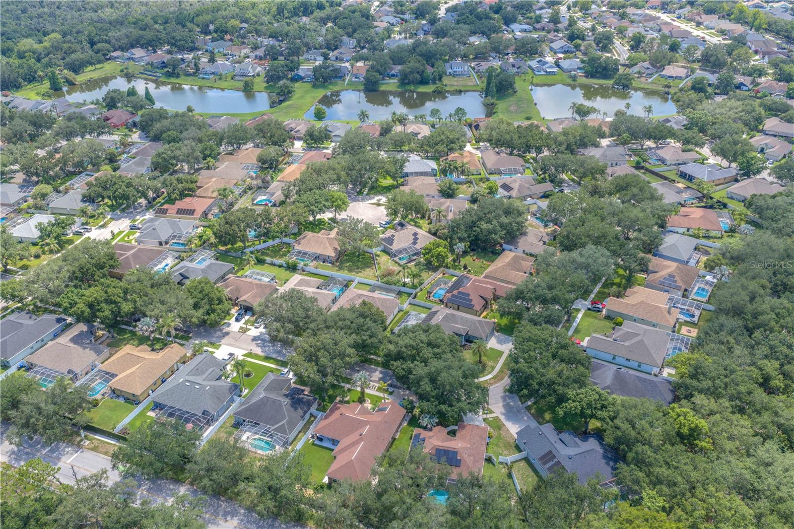 2219 Longmore Cir Property Photo 47