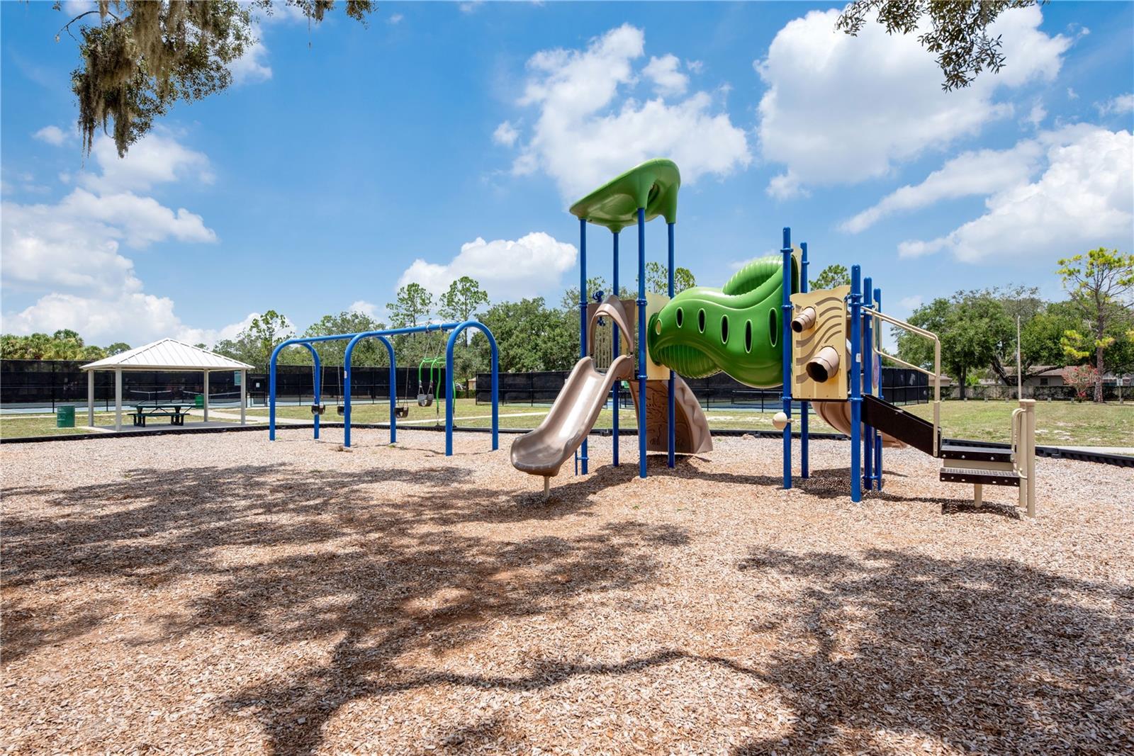 2219 Longmore Cir Property Photo 49