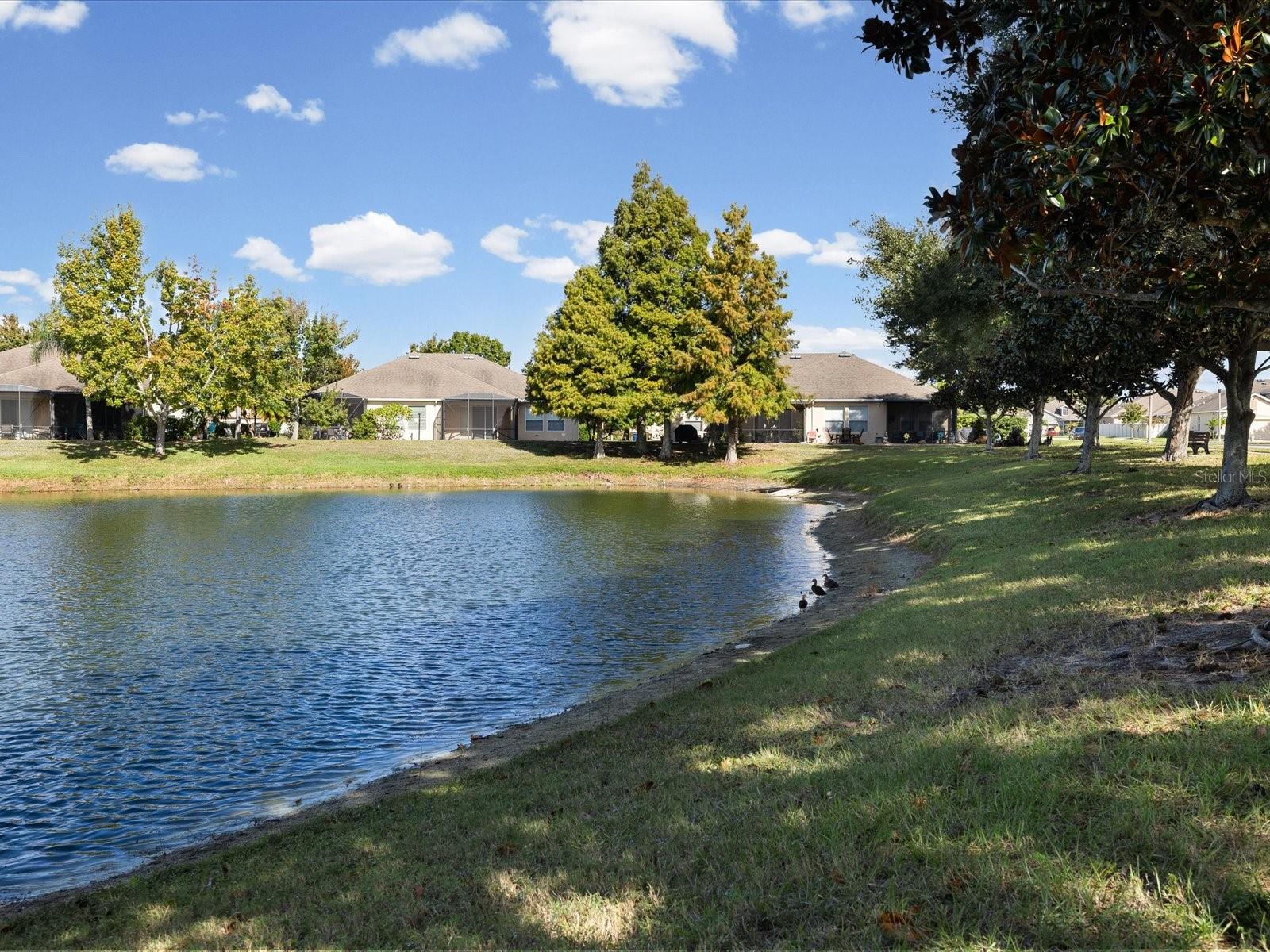2239 Barracuda Ct Property Photo 66