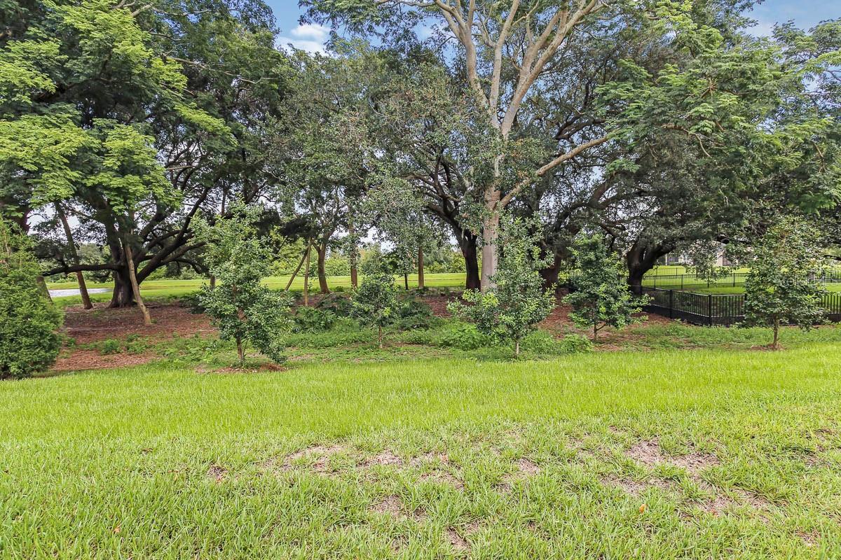 10232 Newel Valley Loop Property Photo 33