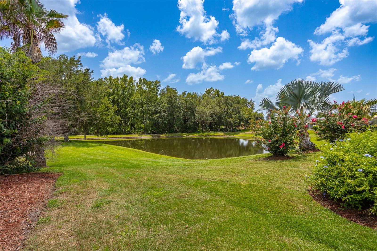 29312 Marker Loop Property Photo 43
