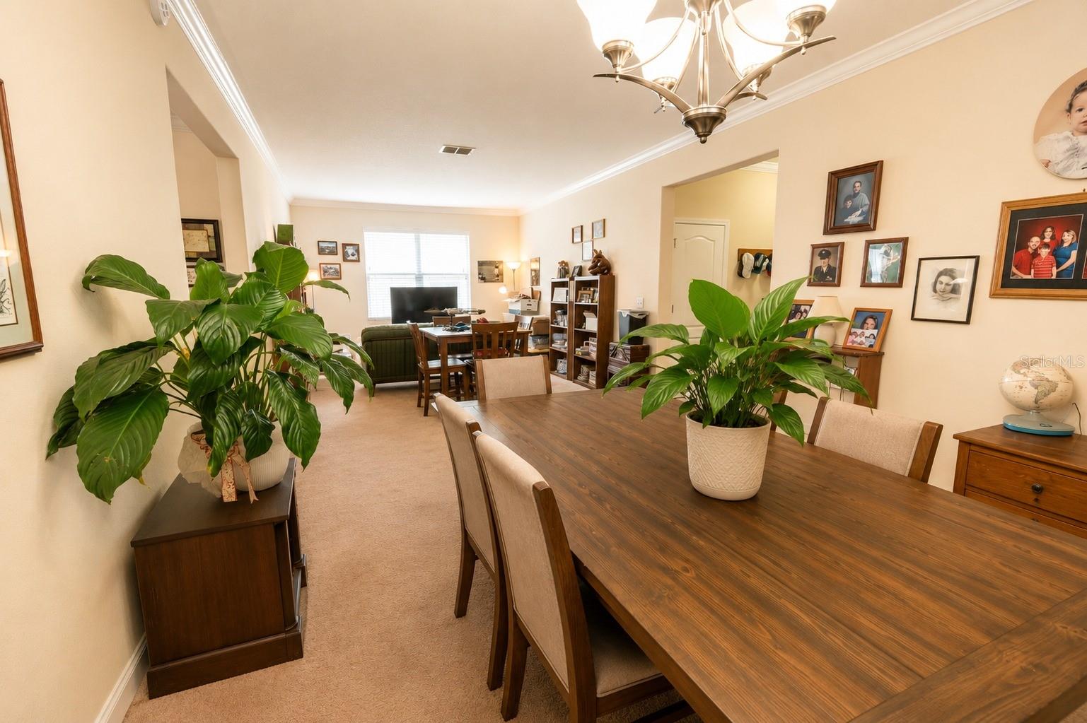 13842 Bee Tree Ct Property Photo 7