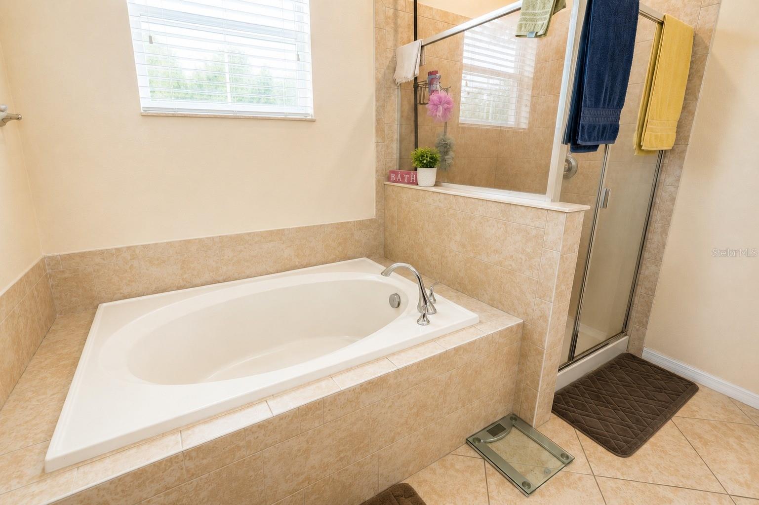 13842 Bee Tree Ct Property Photo 21