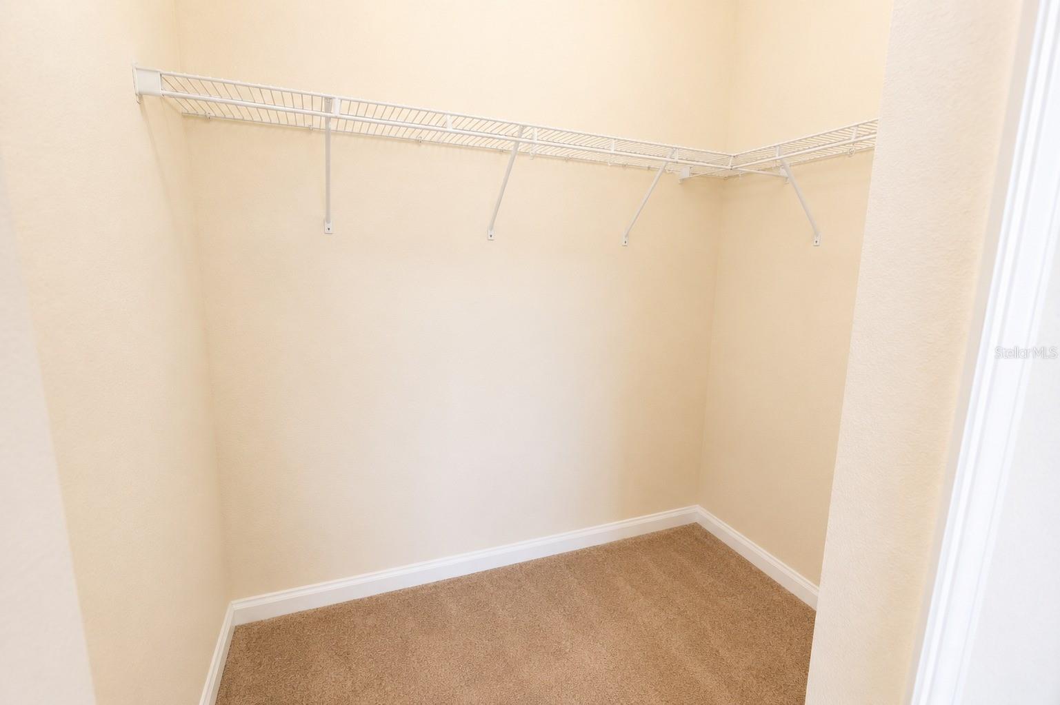 13842 Bee Tree Ct Property Photo 26