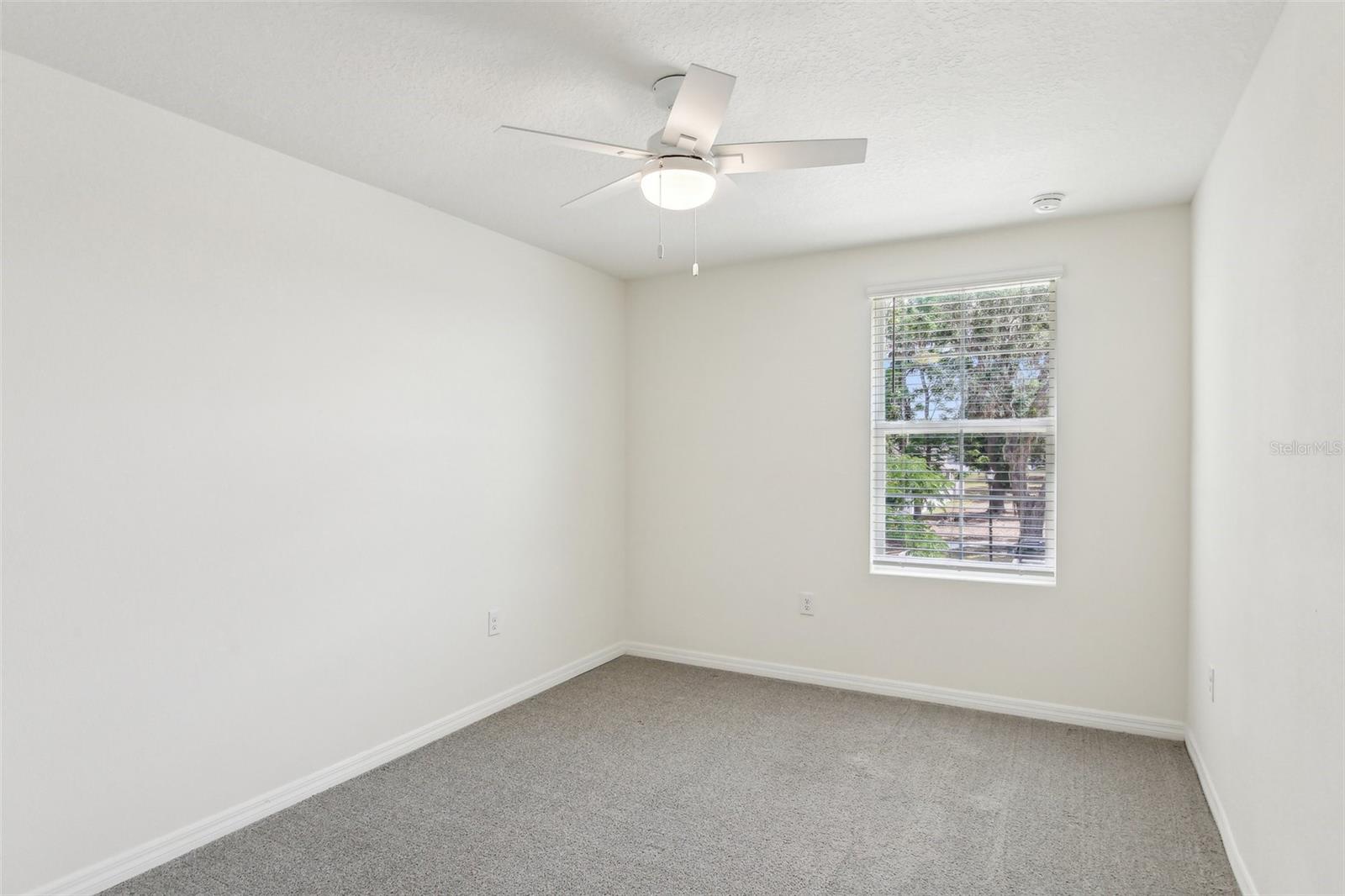 36557 Night Strawberry Ct Property Photo 35