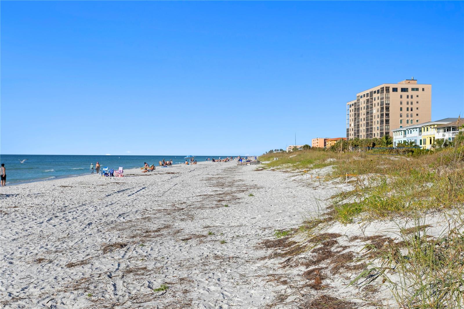 800 Gulf Blvd #5 Property Photo 43