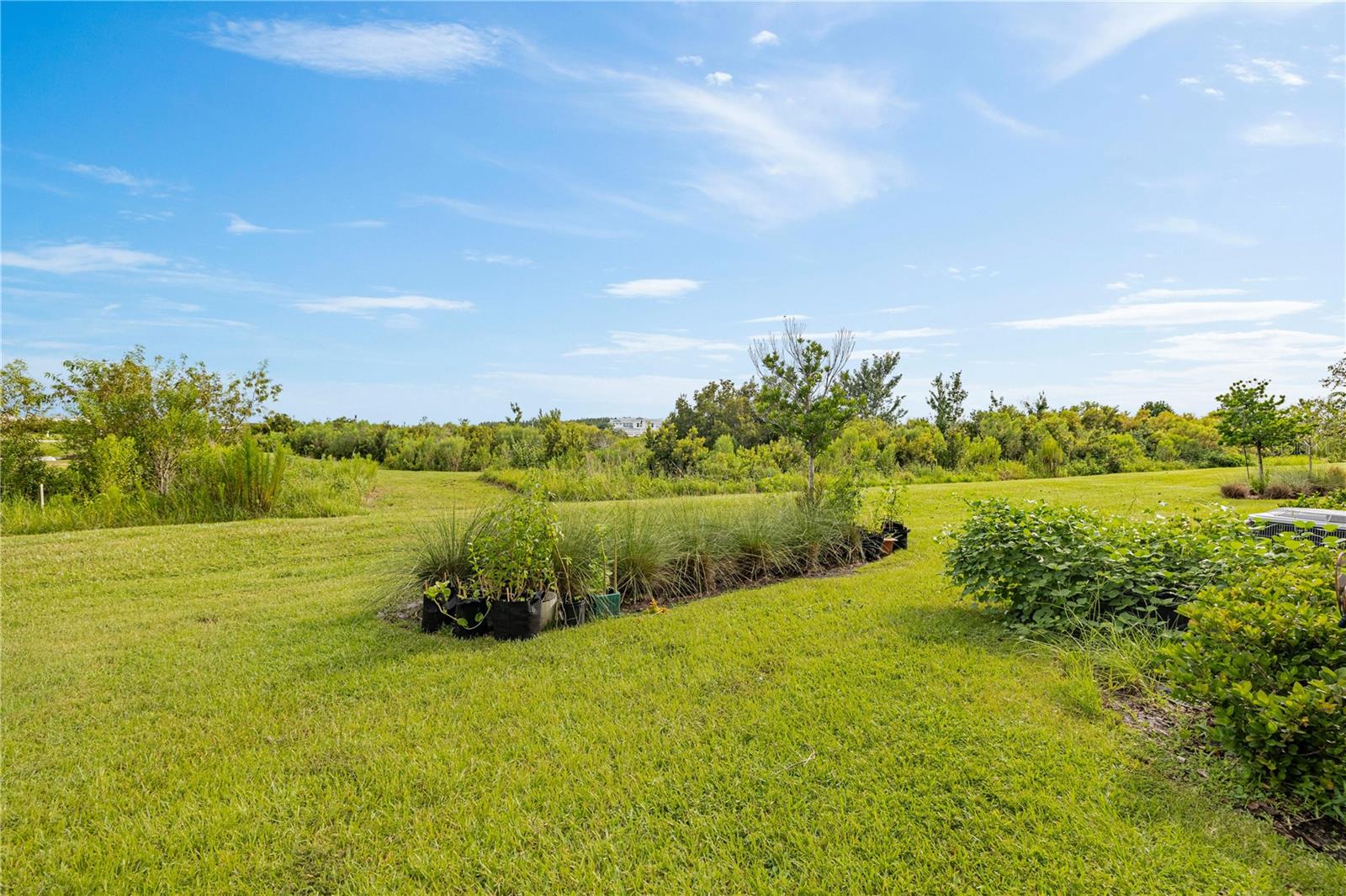 31603 Blue Passing Loop Property Photo 30