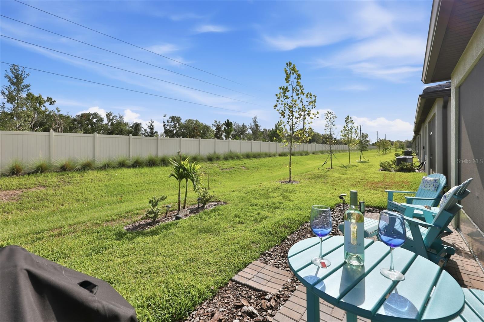 12593 Lily Quartz Loop Property Photo 12