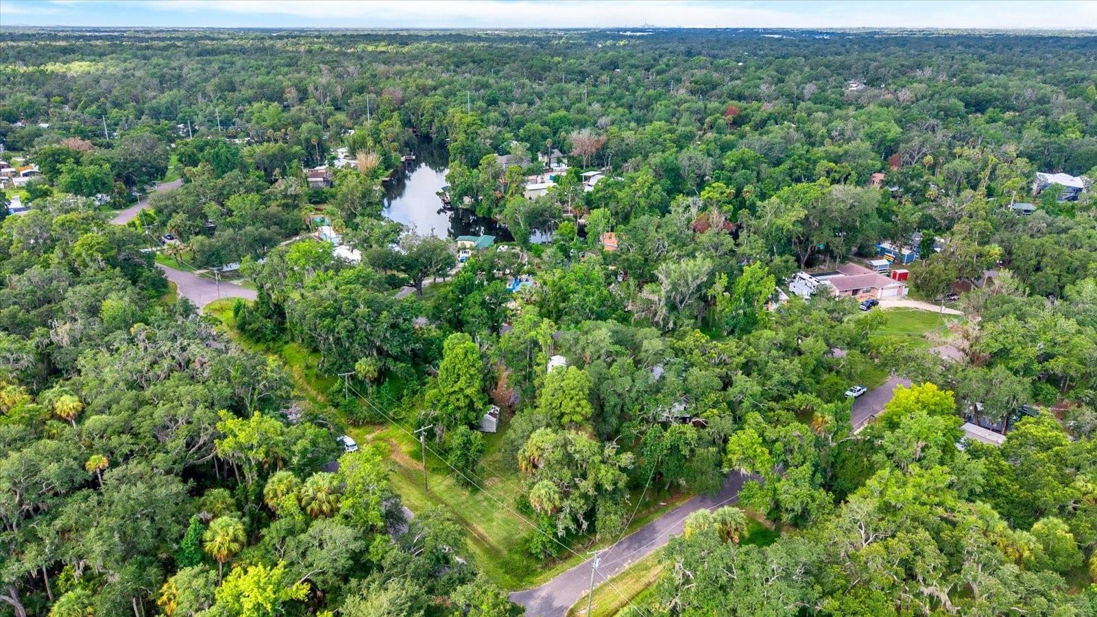 3913 Alafia Blvd Property Photo 4