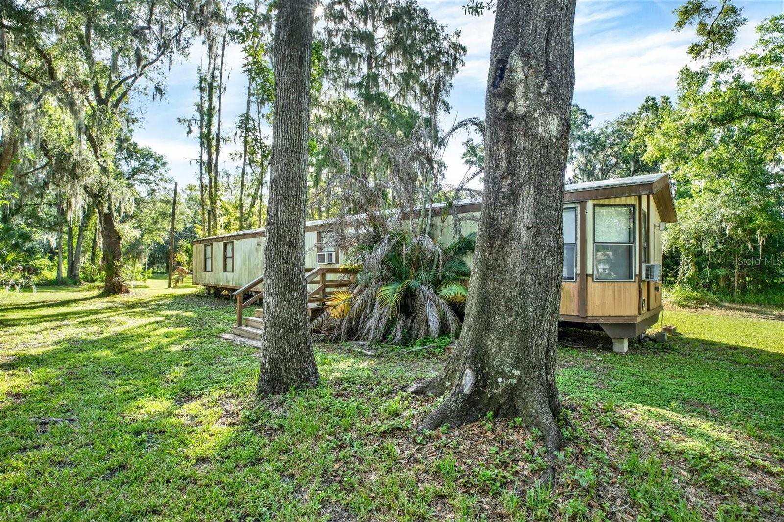 3913 Alafia Blvd Property Photo 7