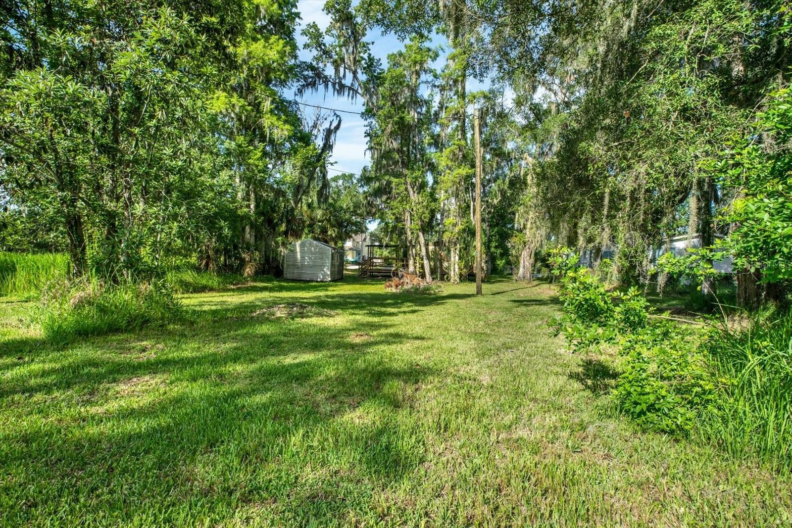 3913 Alafia Blvd Property Photo 11
