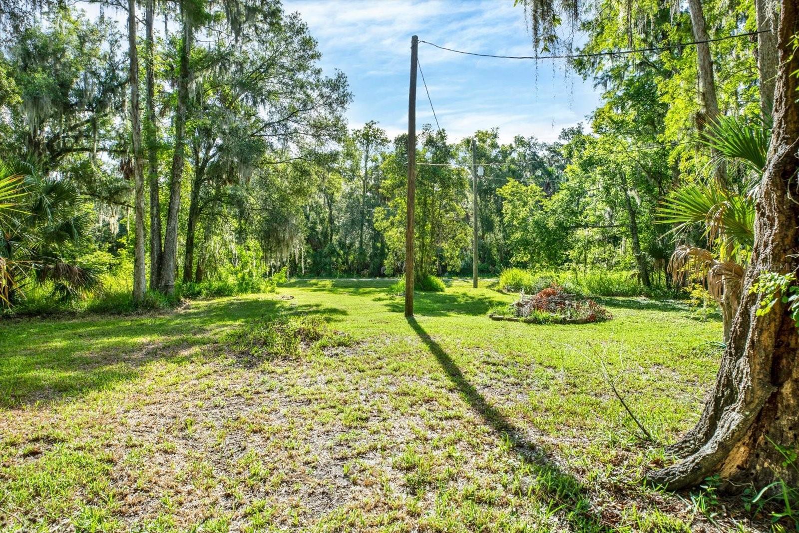 3913 Alafia Blvd Property Photo 13
