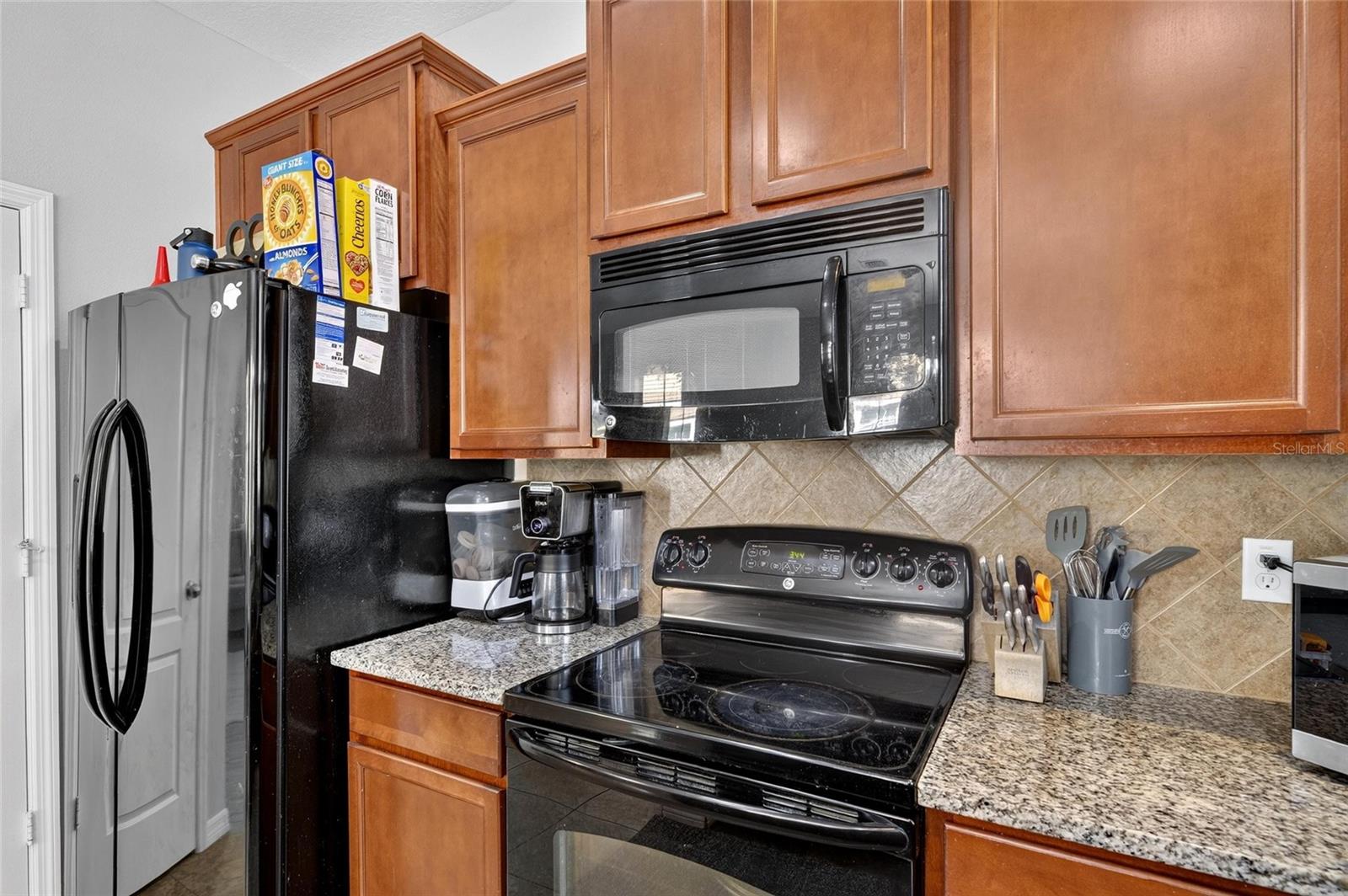 8833 Moonlit Meadows Loop Property Photo 10