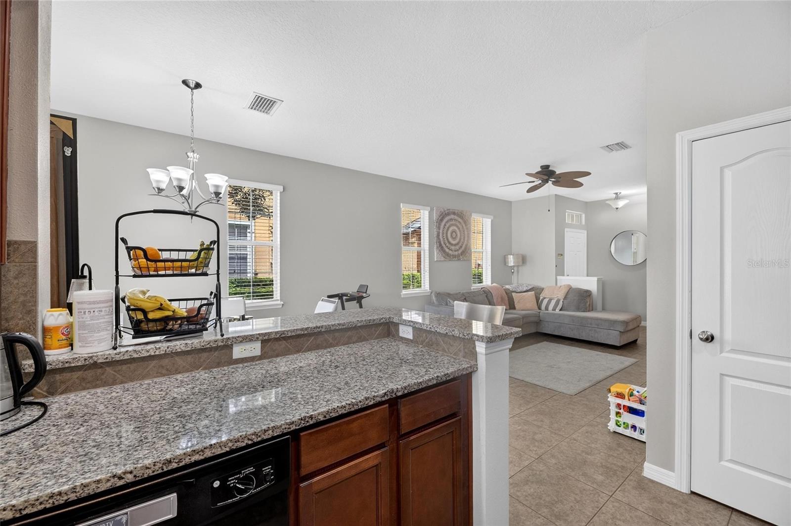 8833 Moonlit Meadows Loop Property Photo 13