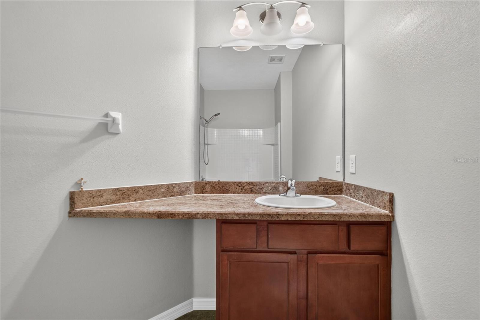 8833 Moonlit Meadows Loop Property Photo 41